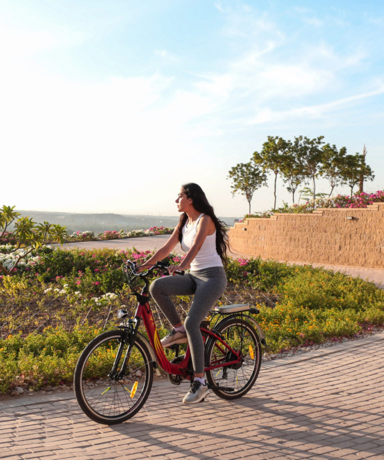 Overcoming Challenges